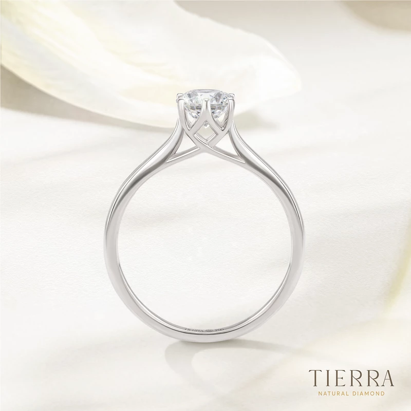 Nhẫn cầu hôn bạch kim kim cương Trellis trơn 6 chấu NCH1407